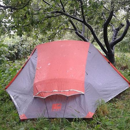 Hotel Issyk-Kul - Camping Grigoryevka Grigor'yevka Exterior foto